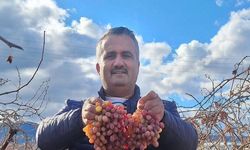 Soğuğa dayanıklı kazancı yüksek