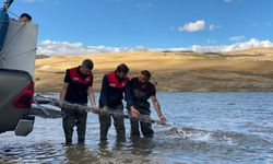 Milyonlarca balık deniz ve göllere bırakıldı!