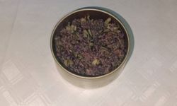 Endemik Bitki Kaçakçılığına Ağır Ceza: 557 Bin TL’lik Fatura Kesildi