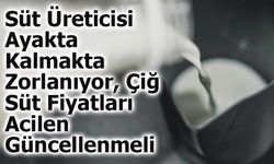 Süt Üreticisi Ayakta Kalmakta Zorlanıyor, Çiğ Süt Fiyatları Acilen Güncellenmeli