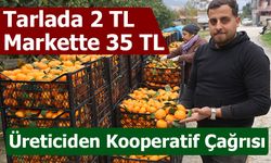 Tarla Fiyatı 2 TL’ye Düştü, Mandalina Markette 35 TL