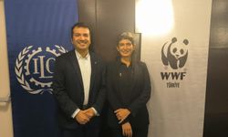 Wwf-Türkiye’den “Türkiye İçin Adil Geçiş Finansmanı Mekanizması Önerisi” Raporu