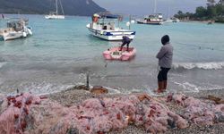 Akbük Koyu’nda iskeleler kalktı, kadın balıkçılar balıkçılığı bıraktı!