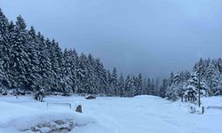 Artvin’in Kafkasör Yaylası Karla Beyaza Büründü