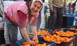Bodrum Mandalini Türkiye’nin dört bir yanına gönderiliyor