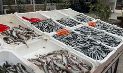 Hava serinleyice hamsi tezgahlara döndü!