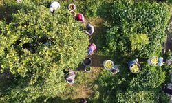 Tarım-ÜFE Aralık’ta Yükselişini Sürdürdü: Yıllık Artış %36’yı Aştı