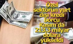 Özel sektörün yurt dışı kredi borcu Kasım’da 213,3 milyar dolara yükseldi