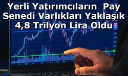 Yerli Yatırımcıların  Pay Senedi Varlıkları Yaklaşık  4,8 Trilyon Lira Oldu