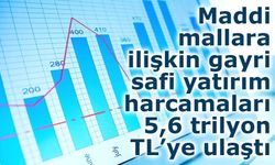 Yıllık Sanayi ve Hizmet İstatistikleri Yatırım Harcamaları (2024) Açıklandı
