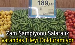 Pazarda zam şampiyonu salatalık