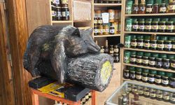 Viral ayı satışları uçurdu: Balcı dükkânının başköşesine ‘bayılan ayı’ dekoru