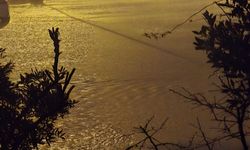 İzmir'de dereler taştı: Yeni Foça'yı su bastı