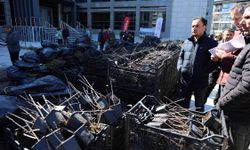 Muğla’da 50 Bin Üzümsü Meyve Fidanı Üreticiyle Buluştu