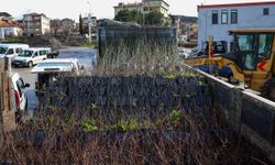 Büyükşehirden kırsala 4,6 milyon liralık destek: 83 bin 515 fide ve fidan dağıtılacak