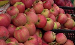 Kesilince Ortaya Yıldız şekli çıkıyorsa gerçek misket elma!