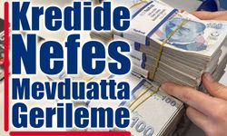 TL Mevduat ve Kredi Faizleri Geriledi