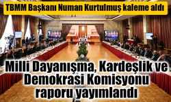 Milli Dayanışma Komisyonu Raporu Yayımlandı