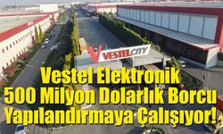 Vestel Elektronik, 500 Milyon Dolarlık Borcu Yapılandırmaya Çalışıyor!