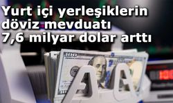 Yurt içi yerleşiklerin döviz mevduatı 7,6 milyar dolar arttı