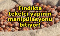 Fındıkta tekelci yapının manipülasyonu bitiyor!