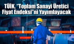 TÜİK, “Toplam Sanayi Üretici Fiyat Endeksi”ni Yayımlayacak