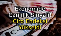 Toplam Ciro Yıllık Yüzde 34,7 Arttı