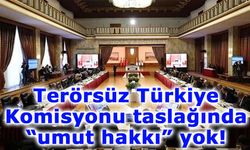 Terörsüz Türkiye Komisyonu taslağında “umut hakkı” yok!