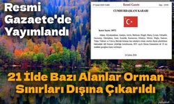 Resmi Gazaete'de Yayımlandı: 21 İlde Bazı Alanlar Orman Sınırları Dışına Çıkarıldı