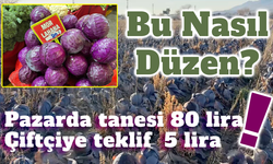 Pazarda tanesi 80 lira; çiftçiden 5 liradan almak istediler