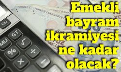 Emekli bayram ikramiyesinde uzman tahmini: 5 bin 500-6 bin TL