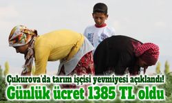 Çukurova’da tarım işçisi yevmiyeleri açıklandı! 2026 ücretleri belli oldu