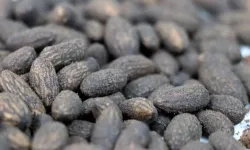 13 yıldır Midilli’nin sobası Burhaniye’den yanıyor