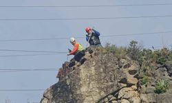 Metrelerce Yükseklikte Hayatla Dans: Artvin’de Tehlikeli Görev