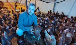 Ev kiraları yüzünden şehirden kaçtı! Köyde “gezen tavuk” çiftliği kurdu