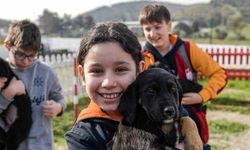 İzmir’de 2 Bin 300 Patili Dost Yeni Yuvasını Bekliyor: "Satın Alma, Sahiplen!"