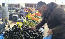 Antalya'daki olumsuz hava şartları patlıcanın tadını kaçırdı