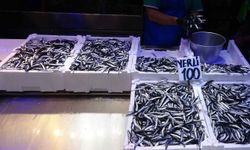 Savaşın sürdüğü Ukrayna, Türk hamsisinin en büyük alıcısı oldu