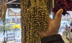 Kurutulmuş bamya 3 bin 500 TL'ye satılıyor