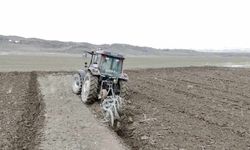 Adilcevaz'da arpa ekimine başlandı