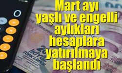 Mart ayı yaşlı ve engelli aylıkları hesaplara yatırılmaya başlandı