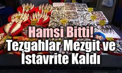 Hamsi Sezonu Sona Erdi: Tezgahlarda Yerini Mezgit ve İstavrit Alıyor