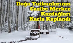 Kazdağları Karla Beyaza Büründü