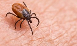 Kene kabusu yeniden can aldı: 21 yaşındaki genç KKKA’dan hayatını kaybetti