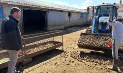 Besiciler maliyet baskısına karşı çözümü patateste buldu