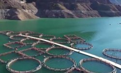 Erzurum'da 3,38 milyar destekle 5 bin 226 kişilik istihdam oluştu