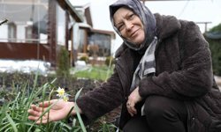 Belediye Desteğiyle Kurduğu Serada Aylık 100 Bin TL Gelire Ulaştı