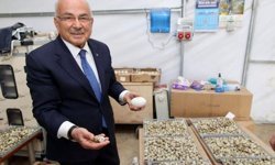 Hilmi Güler: "Ordumuza yeni bir sektör hazırlıyoruz"