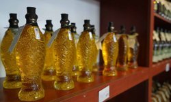 Zeytinyağında yeni dönem: Ayvalık’ta lisanslı depoculuk için kritik eşik aşıldı