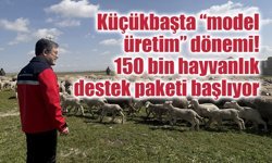 Küçükbaşta “model üretim” dönemi: 150 bin hayvanlık destek paketi başlıyor